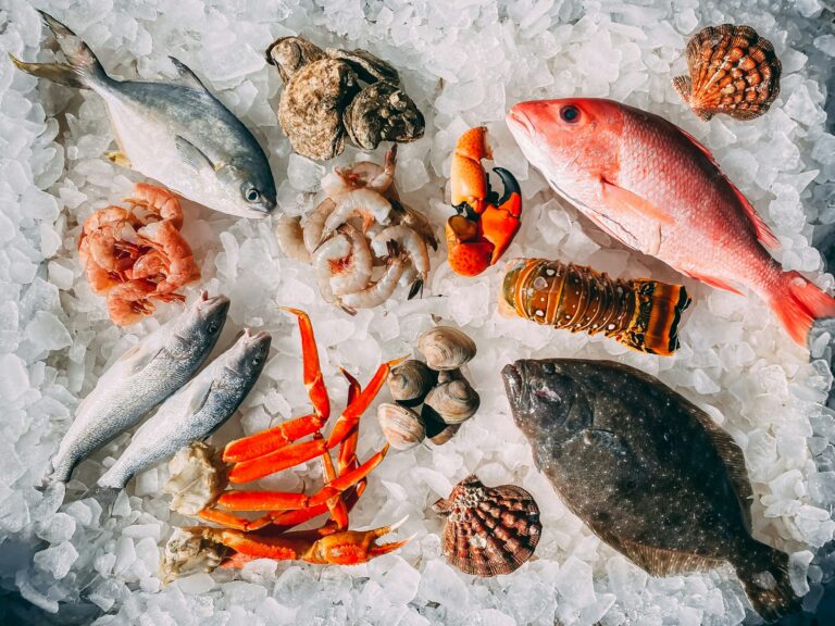 Various fish and crustaceans over ice.